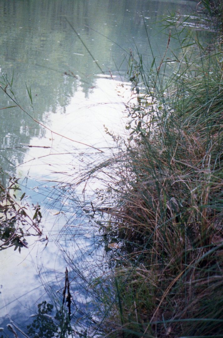 El Júcar. Foto: Bárbara