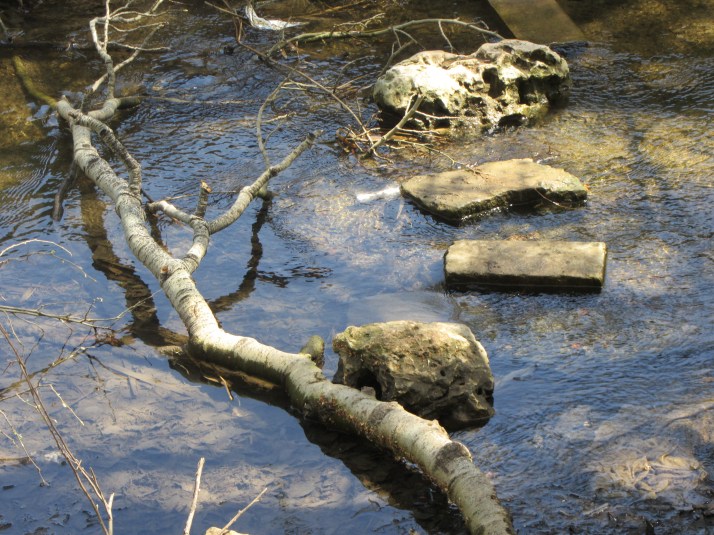 El río Henares. Foto: Bárbara