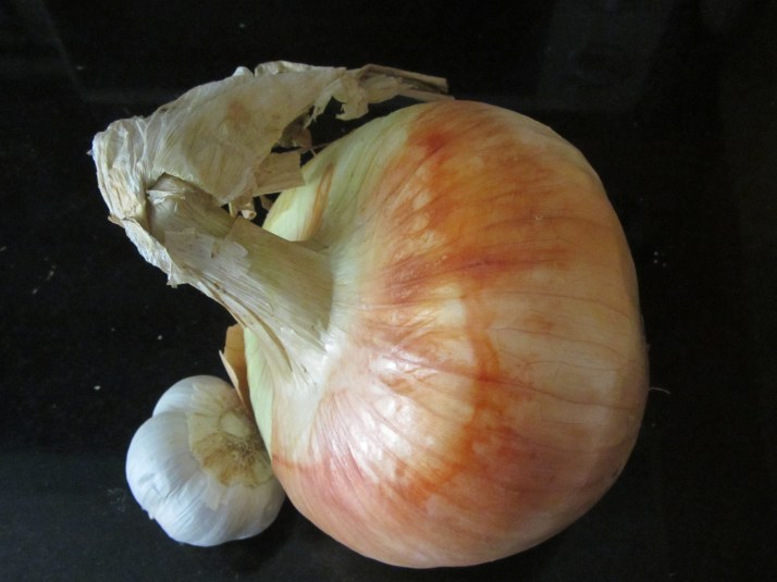 "Cebolla". Foto: Bárbara.