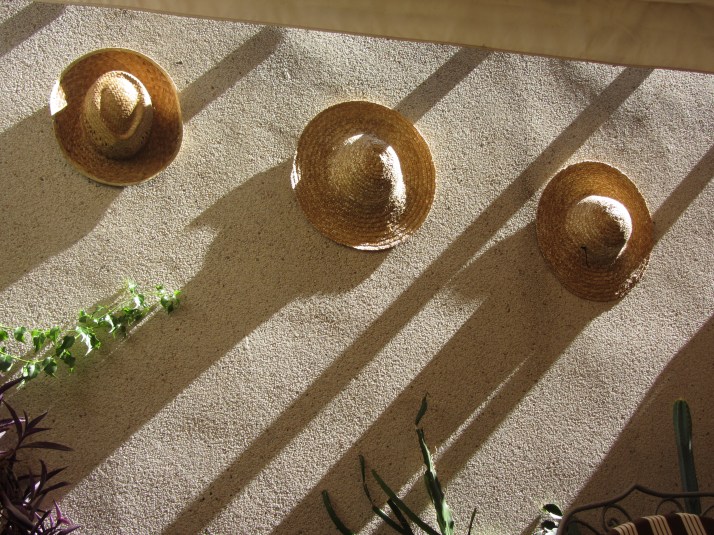 "Tres en raya". Foto: Bárbara.