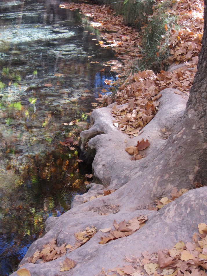 "Junto al río". Foto: Bárbara