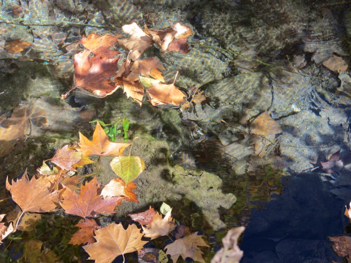 "El otoño". Foto: Bárbara.