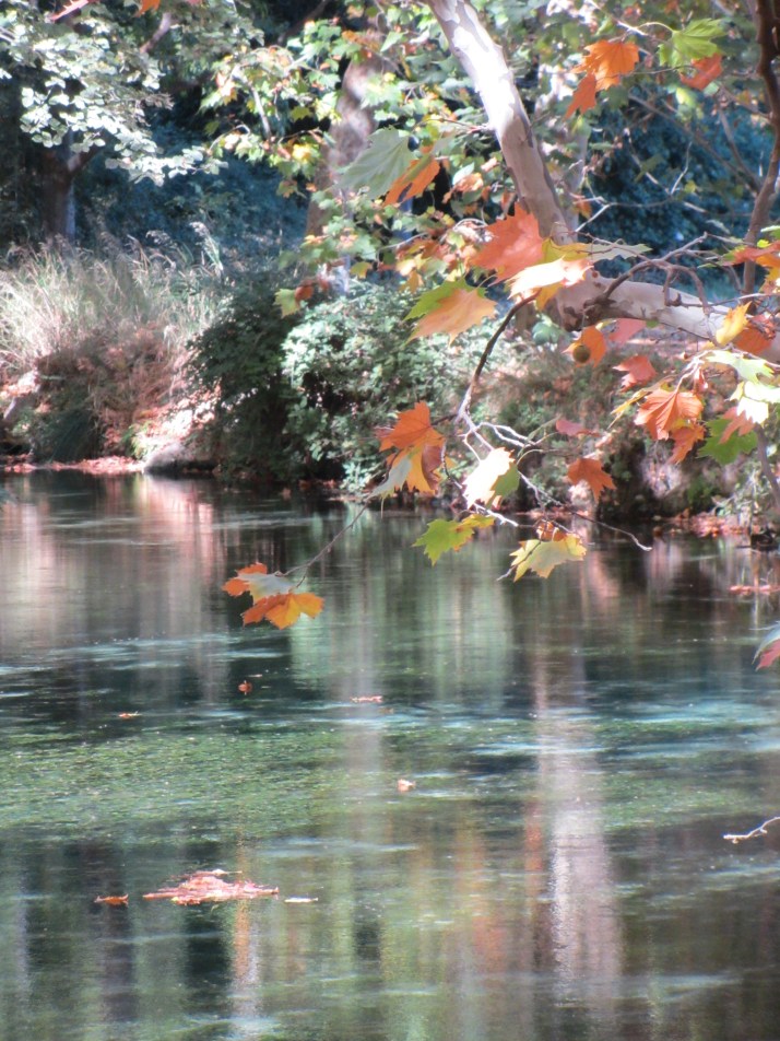 "Las fuentes del marqués". Foto: Bárbara