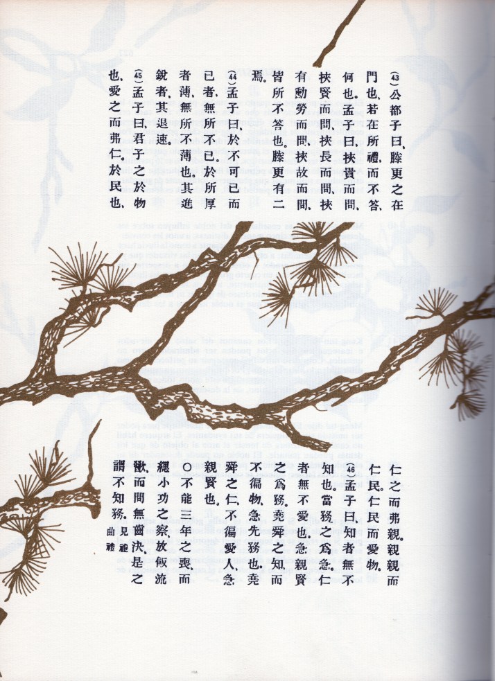 Una de las ilustraciones