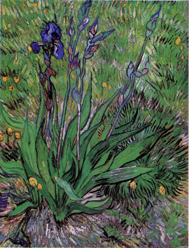 V. Van Gogh, "Iris".Saint-Remy, mayo, 1889. óleo sobre papel sobre tela (62X 48 cm.). Ottawa, National Gallery of Canada.