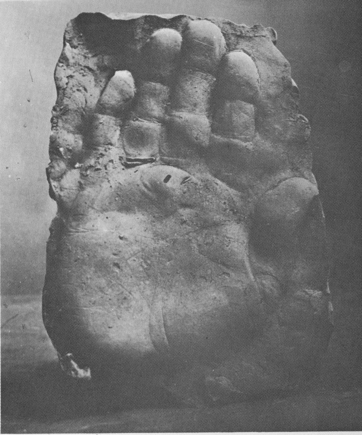 Brassaï : mano de Picasso