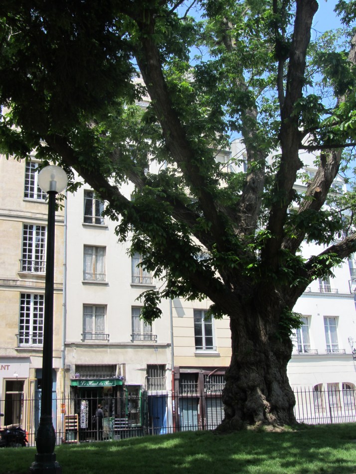 Plaza de . Foto: Bárbara