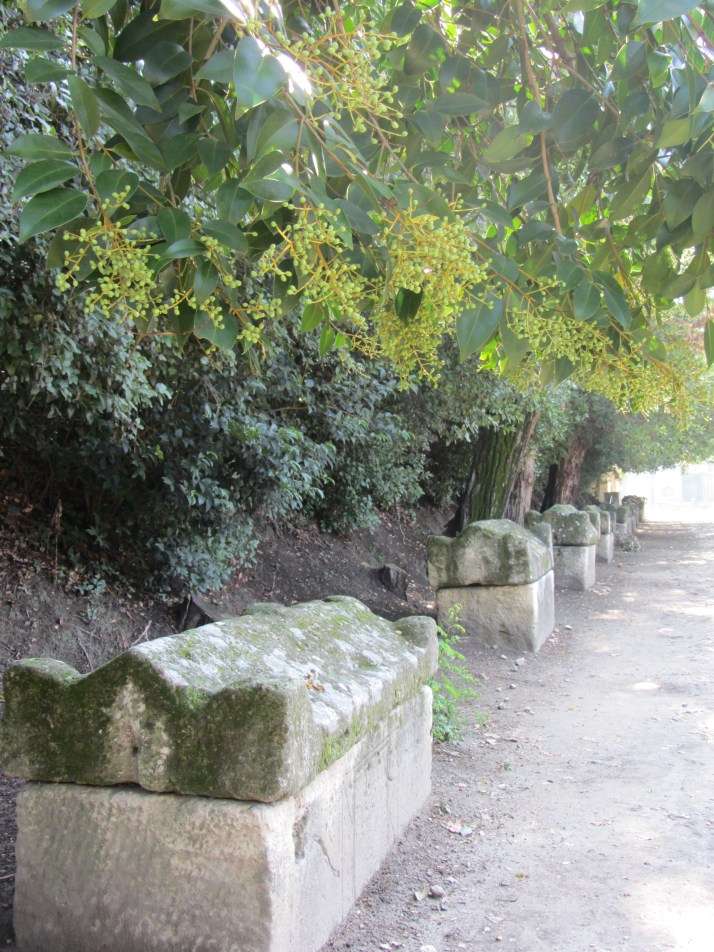 Sarcófagos. Foto: Bárbara