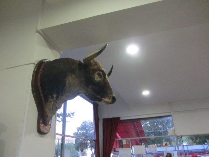 Cabeza de Toro. Foto: Bárbara