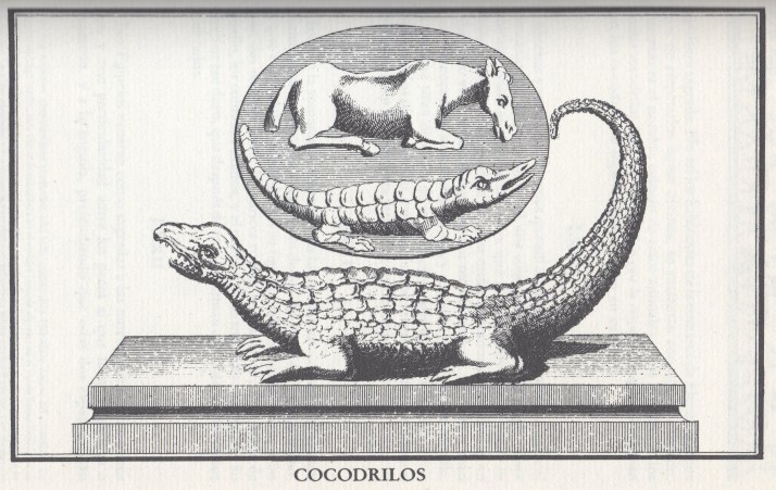 Ilustración del primer tomo.