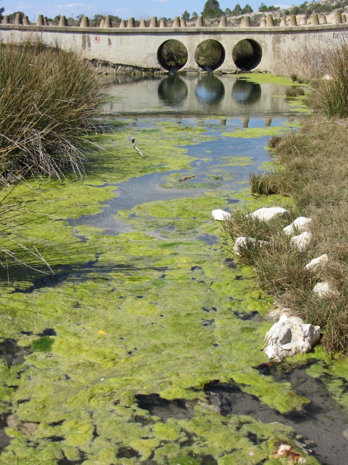 Fuente Caputa. Foto: Bárbara