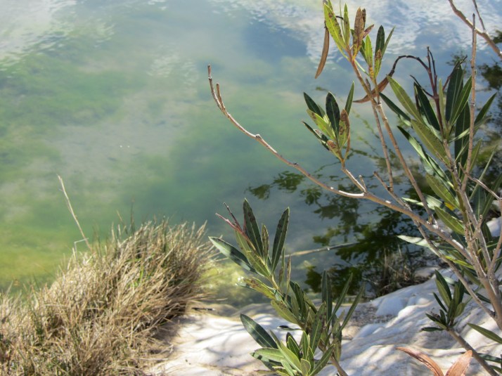 Fuente Caputa. Foto: Bárbara