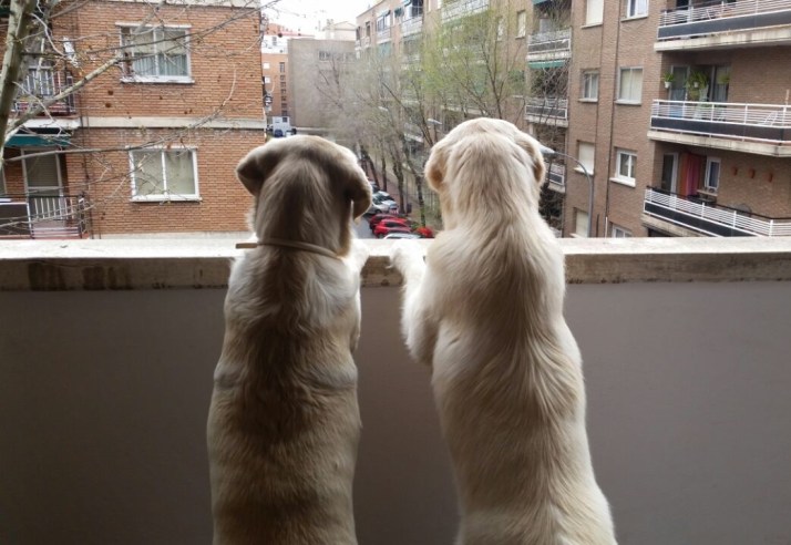 Oso y Duna. Foto: Alex y Natalia