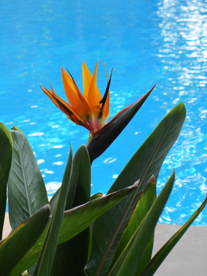 Foto: Aurelio Serrano Ortíz