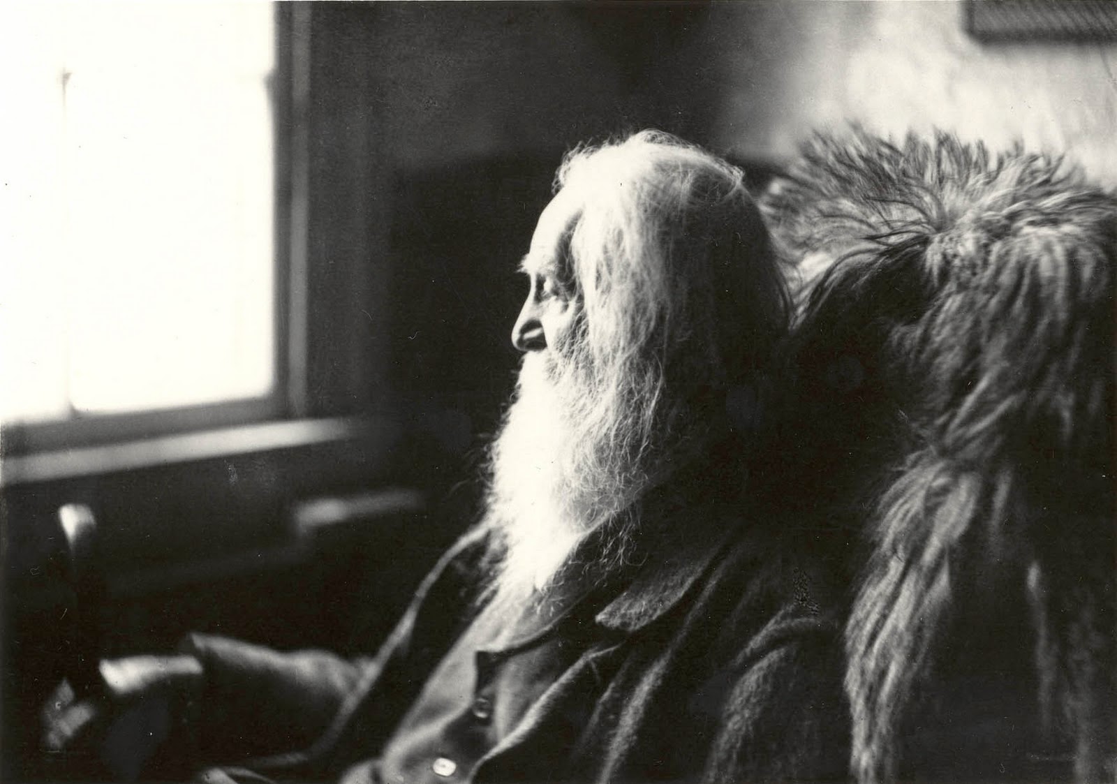 A. L. Coburn: Walt Whitman, 1891